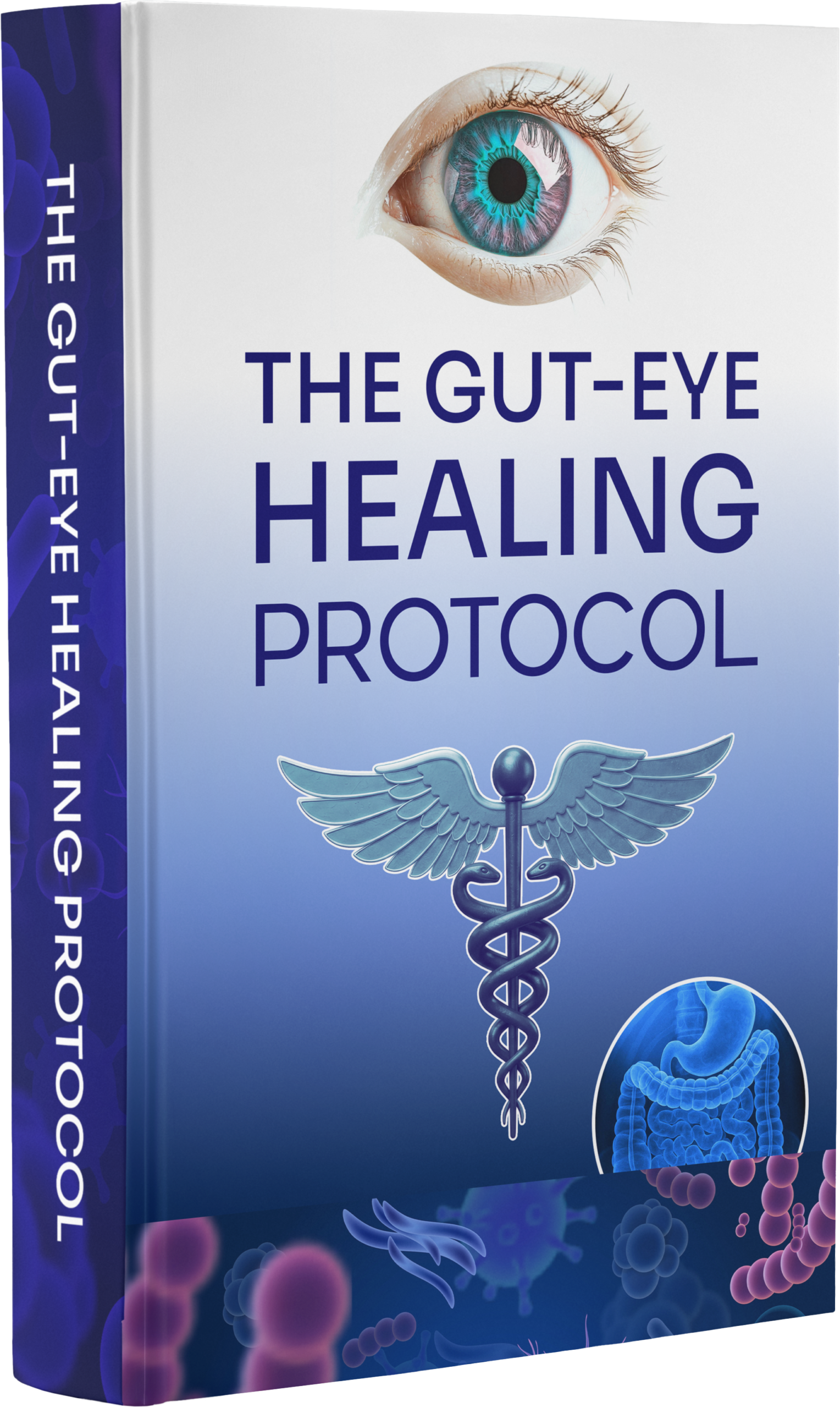 Bonus #2 — The Gut-Eye Healing Protocol